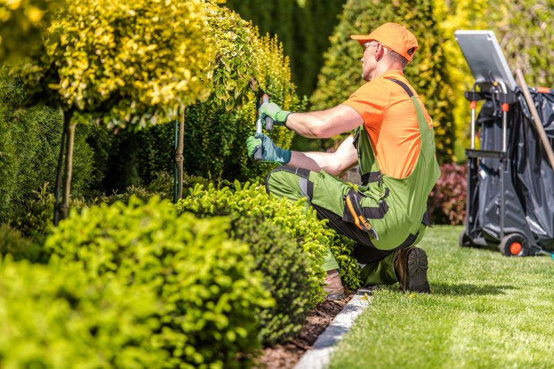 Curb Appeal Landscaping